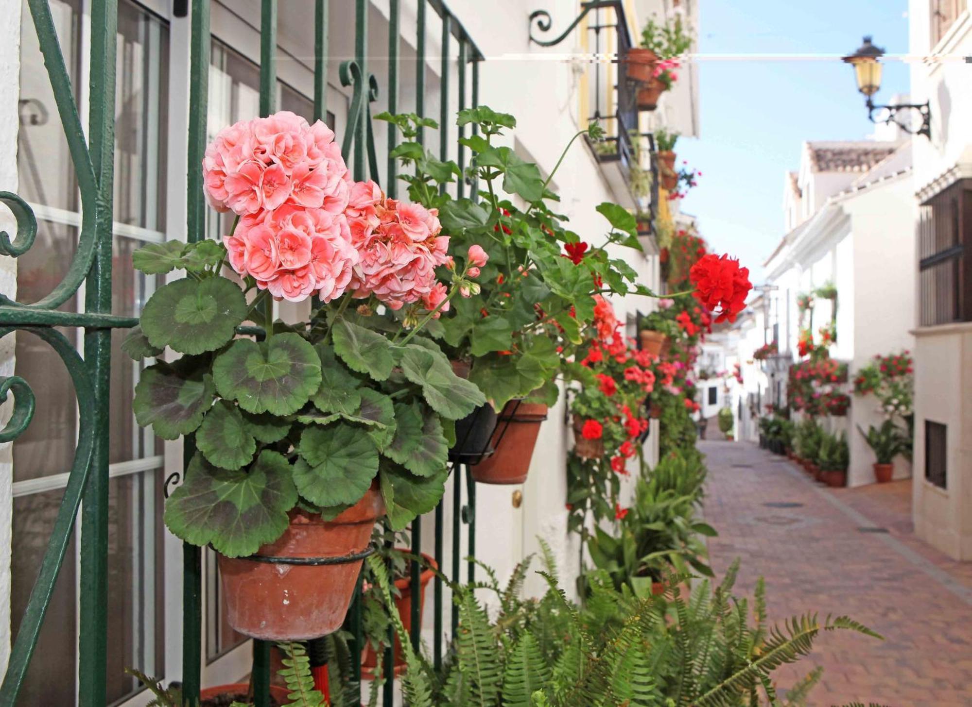 I Am La Posada Hotel And Apartment Benalmádena Exteriér fotografie